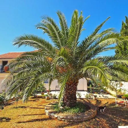 Apartment Fuer 3 Personen Ca 25 Qm In Fazana, Istrien Istrische Riviera *